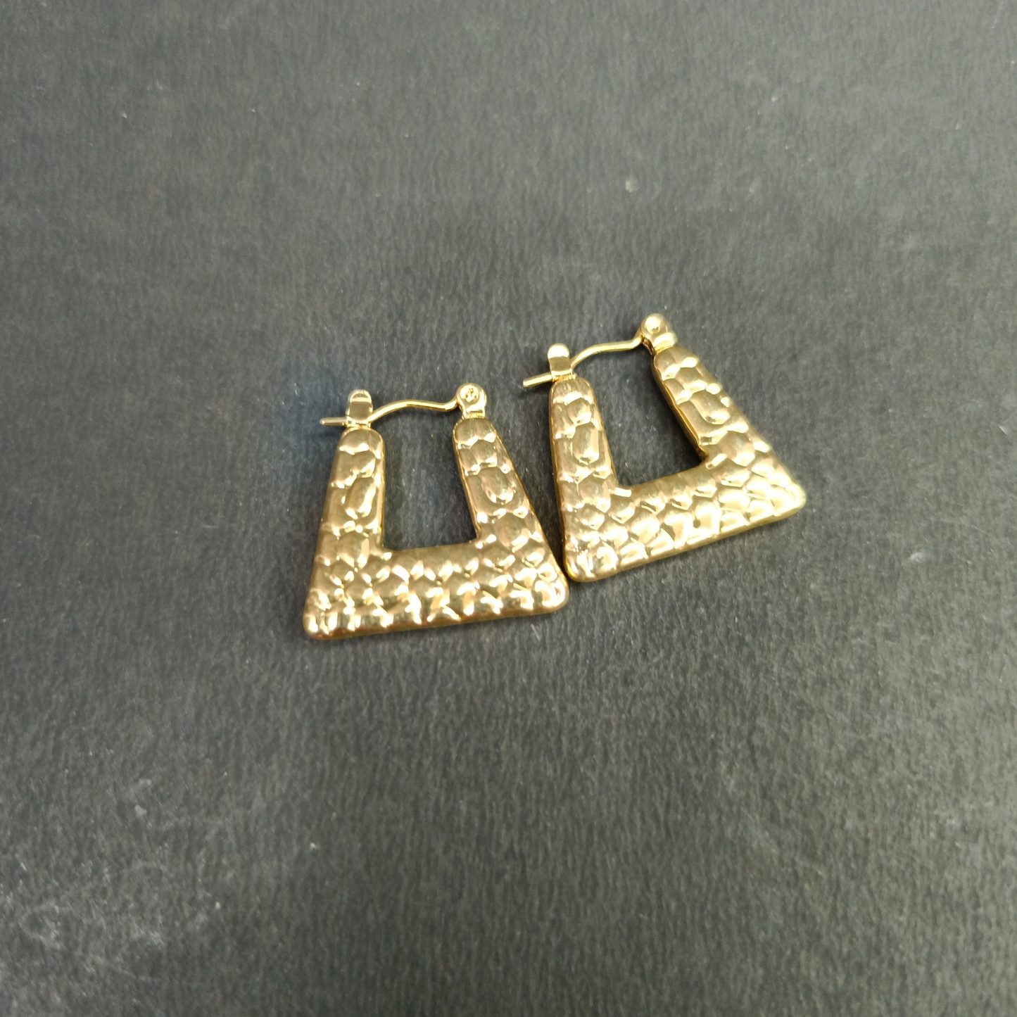 Sophie Stainless Steel Hoop Earrings